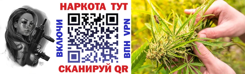 Купить наркотик Элиста ГАШ  Канабис  Амфетамин  Героин  OMG как войти  СОЛЬ  Меф мяу мяу  Cocaine 
