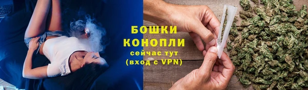 шишки Ладушкин