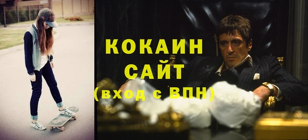 шишки Ладушкин
