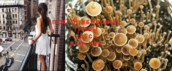 дистиллят марихуана Лабытнанги