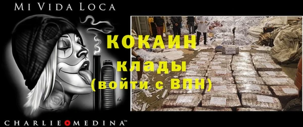 шишки Ладушкин
