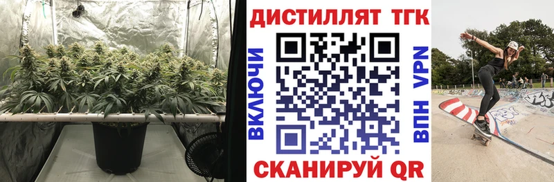 продажа наркотиков  Элиста  Дистиллят ТГК THC oil 