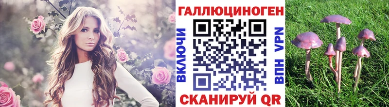 Псилоцибиновые грибы Magic Shrooms  Элиста 