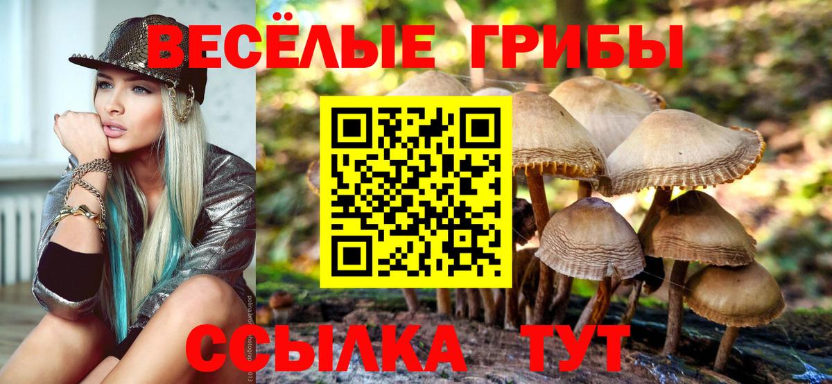 Галлюциногенные грибы GOLDEN TEACHER Элиста